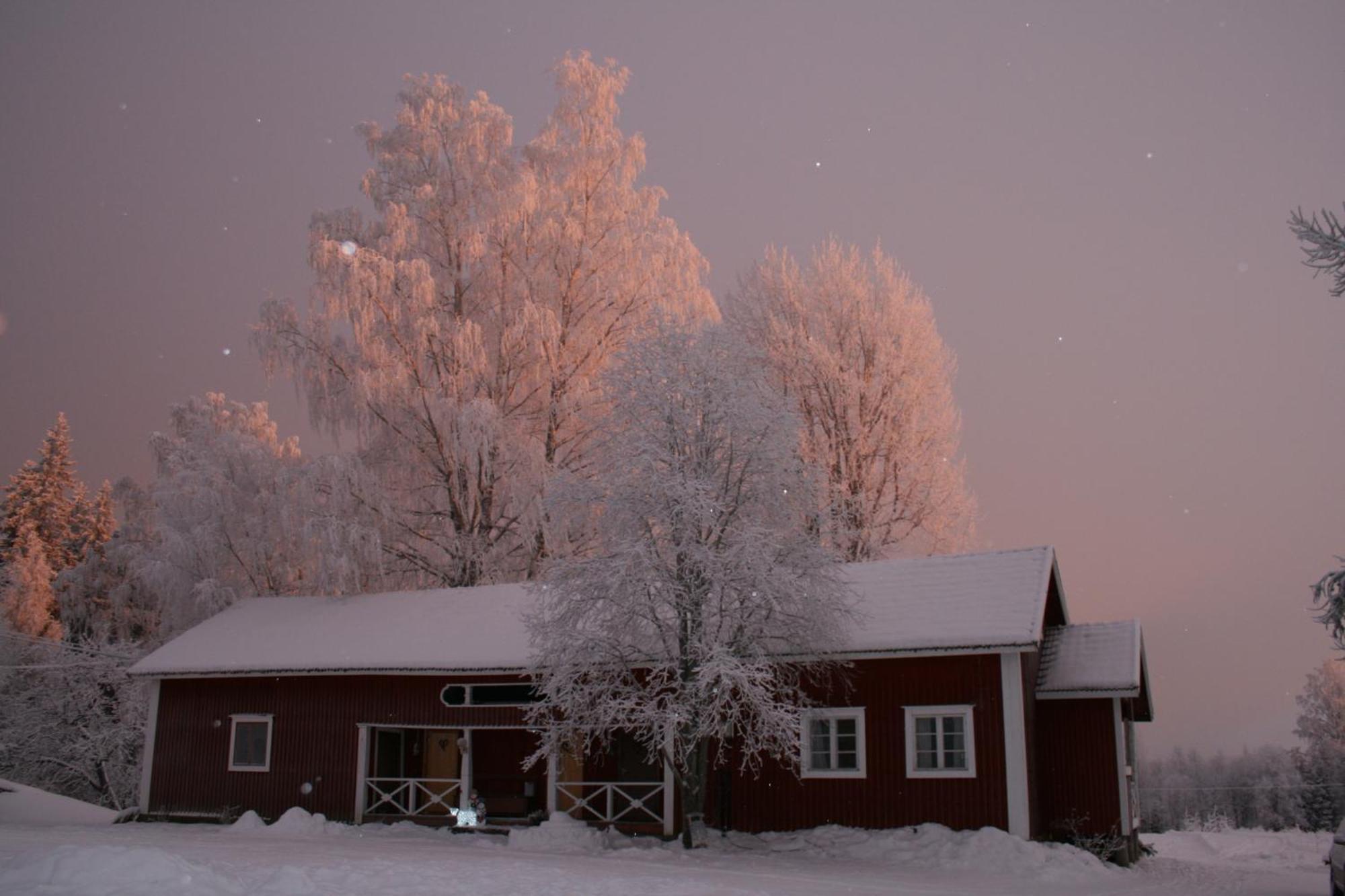 Valkeisen Loma Villa Ähtäri Екстериор снимка