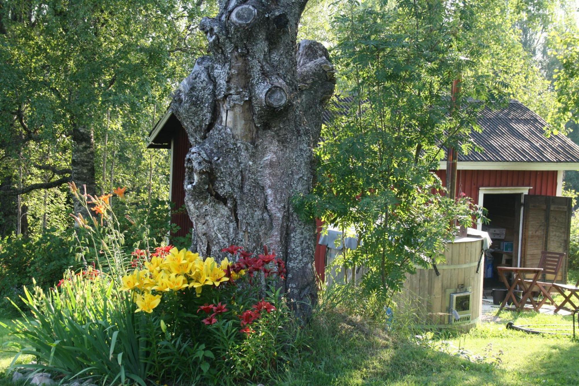 Valkeisen Loma Villa Ähtäri Екстериор снимка