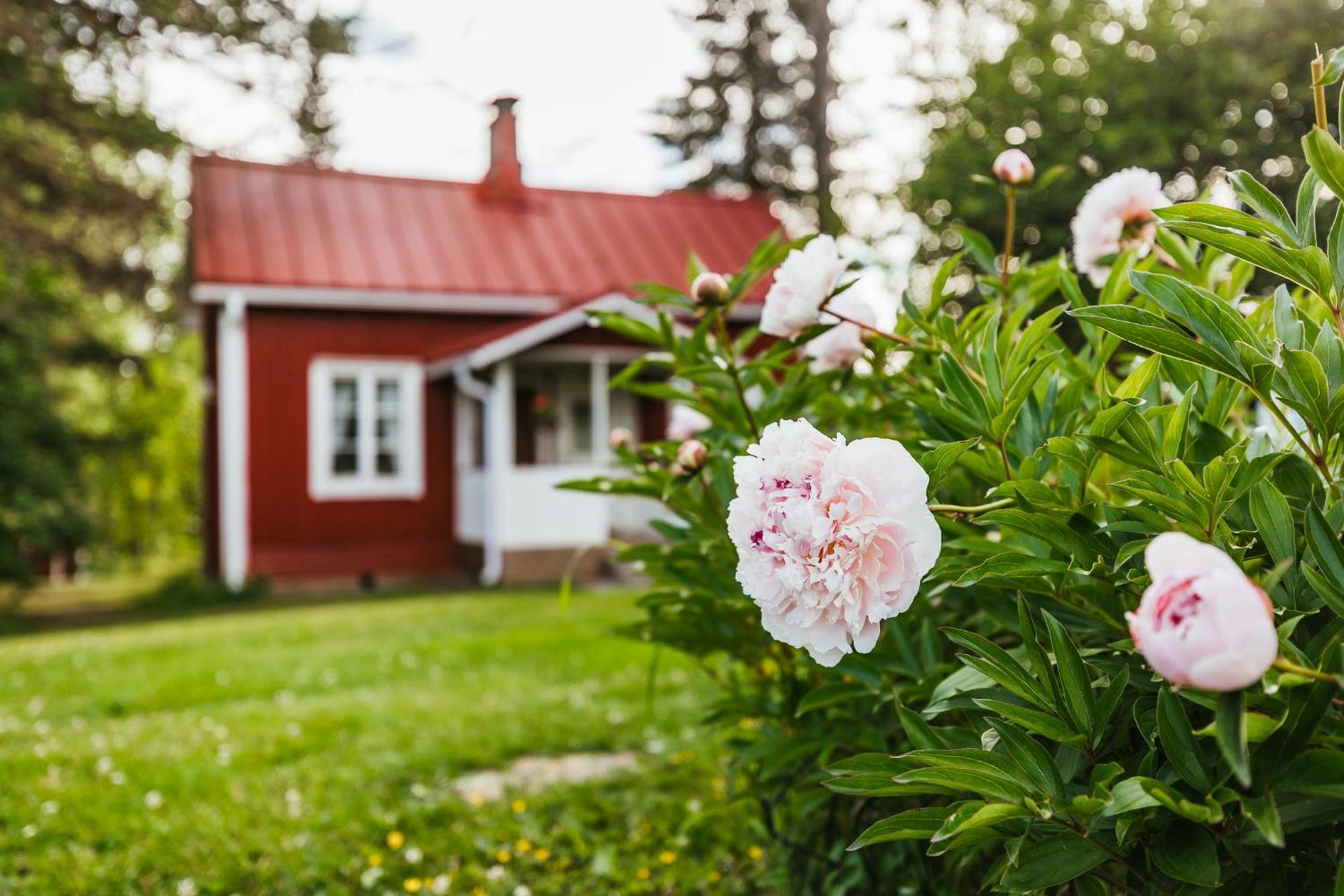 Valkeisen Loma Villa Ähtäri Екстериор снимка